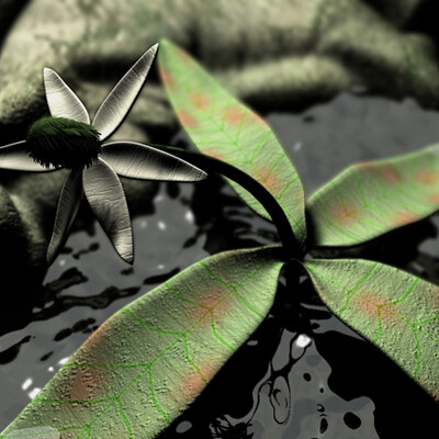 Ядовитый цветок