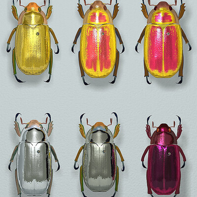 фрагмент  коллекции скарабеев (род chrysina)