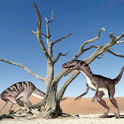 rj3d for Discovery Channel