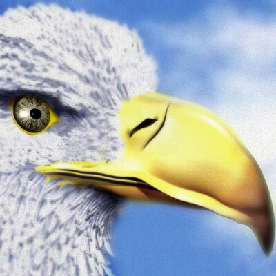 БАШКА v.2
