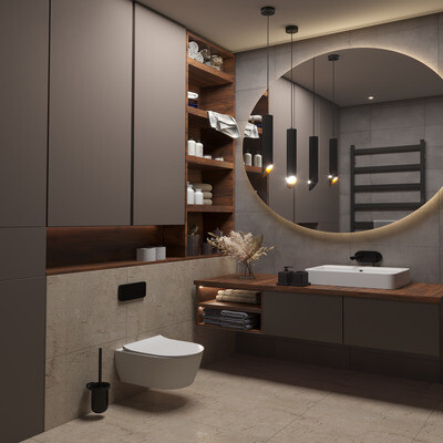 3D visualization of the bathroom