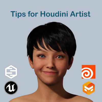 Metahuman to Marvelous Designer. Houdini artist.