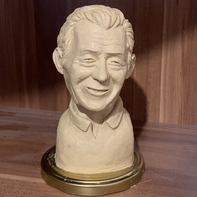 Plasticine portrait