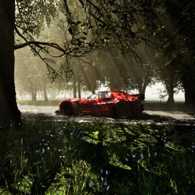 Car in a Forest.