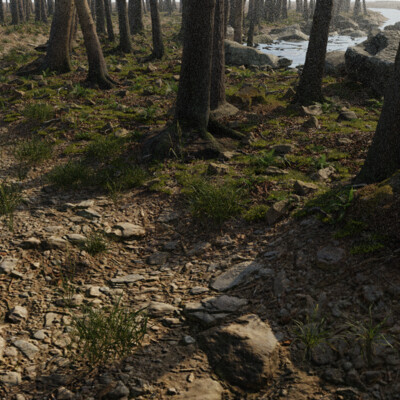 The Forest