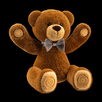 Teddy bear