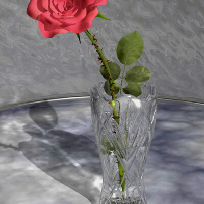 Rose