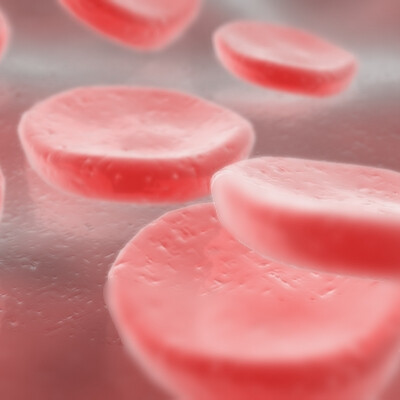 Blood Cells