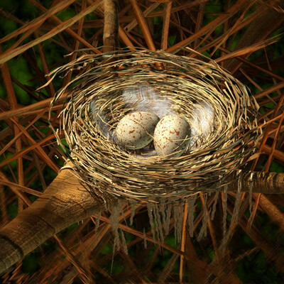Eggs