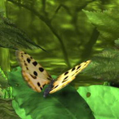 Yellow butterfly