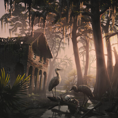 Swamp louisiana
