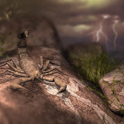 Scorpion