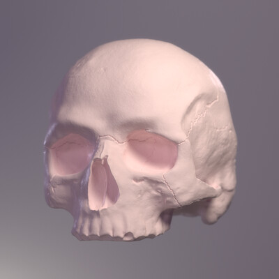Skull