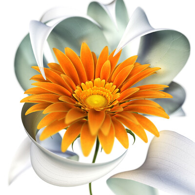 Orange Flower