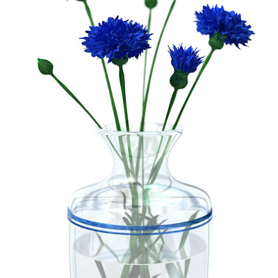 Blue Flowers