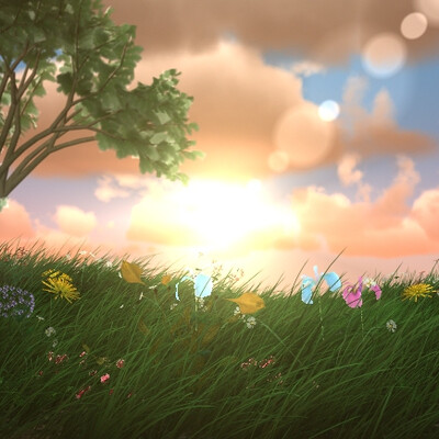 Sunset