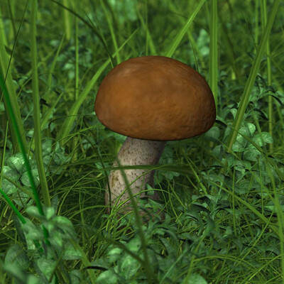 Гриб
