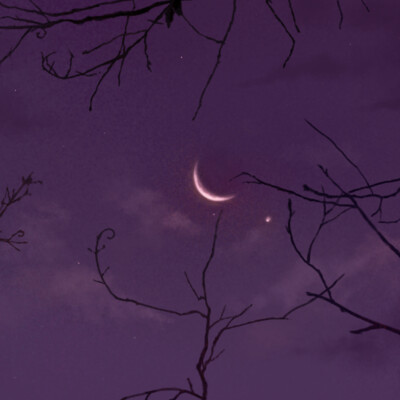 Night sky
