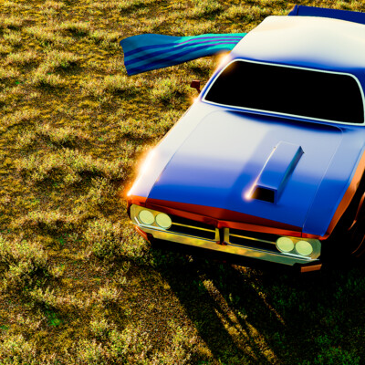 car in field