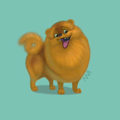 Sweet dog Leo