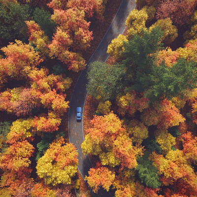 just autumn