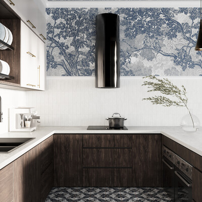 Kitchen design
