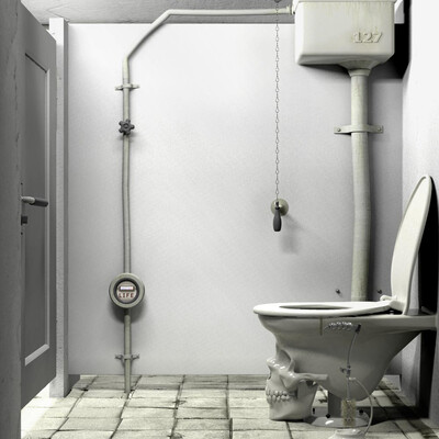 life is like toilet