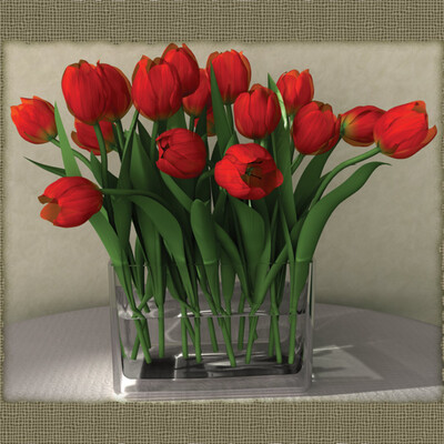 Tulips