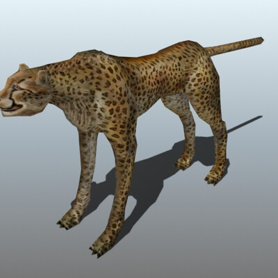 кошкин родственник