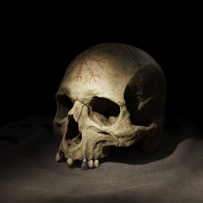 Skull