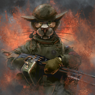 Боевой кот