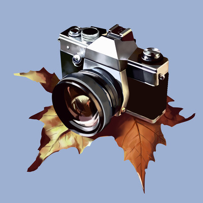 осень фотографии