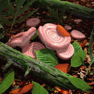 Волнушки.(этюд)