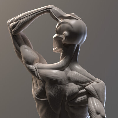 Ecorche