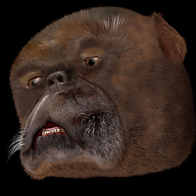 Dog_head