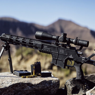 IWI Dan .338