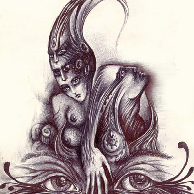 The observer
