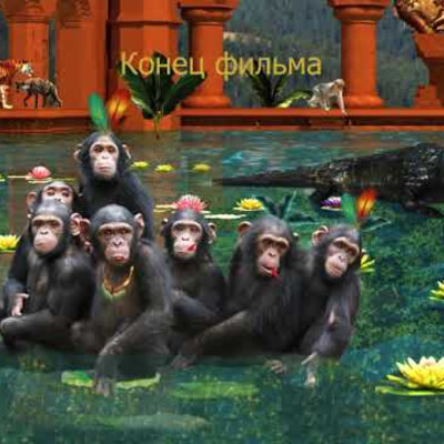 Друзья в гостях у Маугли