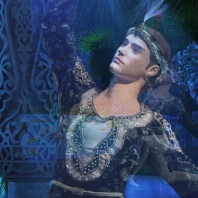In the Enchanted Garden