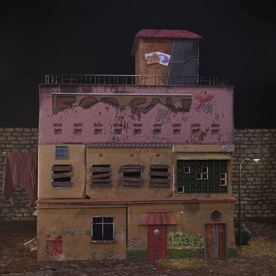 the forgotten house