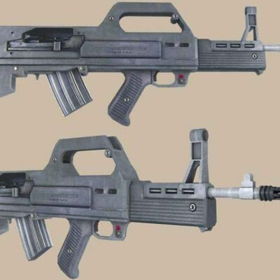 Gun