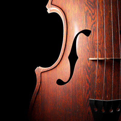 3D Violin - CGI