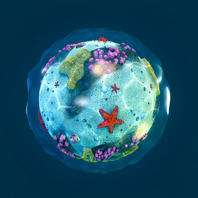 The Seabed