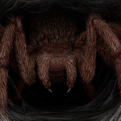 Aranea astutia
