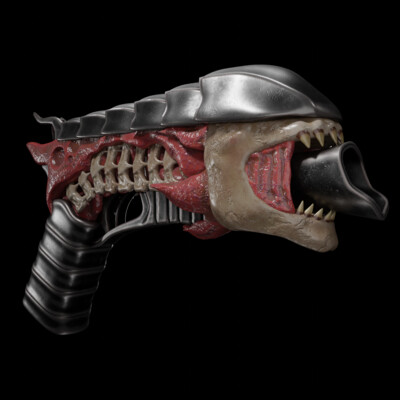 Gun