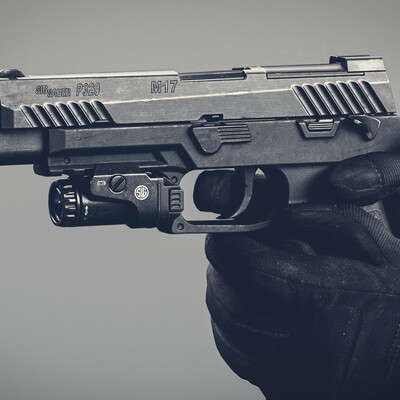 SigSauer M17 Remake