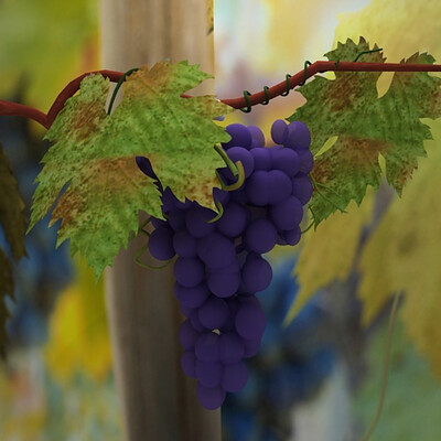 vinograd