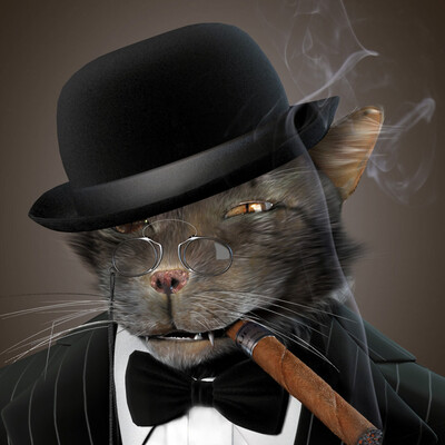 Mr. Rascal