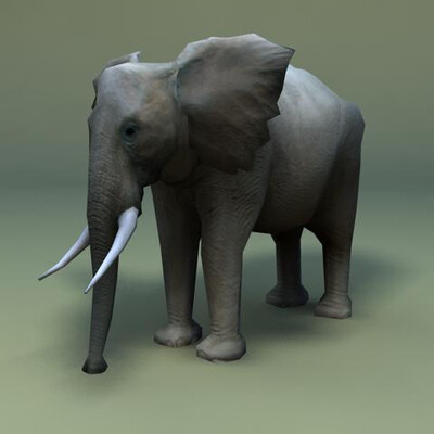 Elephant