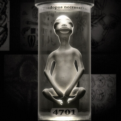 Доброе утро 4701